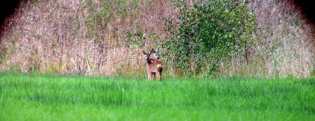 Wandelen met Sjaak door land dat water werd en daarna waterland