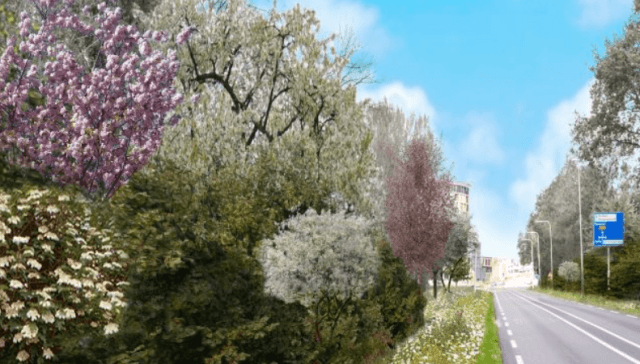 Achterhoekse N348 het jaar rond een feest voor insecten