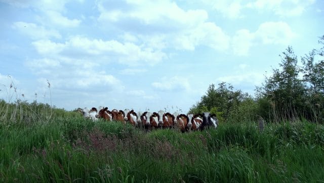 Wandelen met Sjaak: Olde Maten