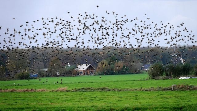 Samen voor Grond: Hallo Duurzaamheid,
