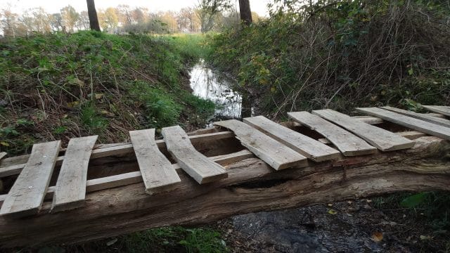 Wandelen met Sjaak: Gelukkig moest hij omwandelen