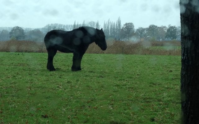 Wandelen met Sjaak en met de kont in de wind