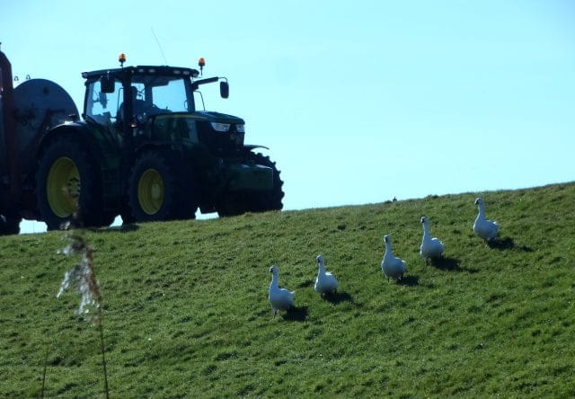 Wandelen met Sjaak: Aju Paraplu