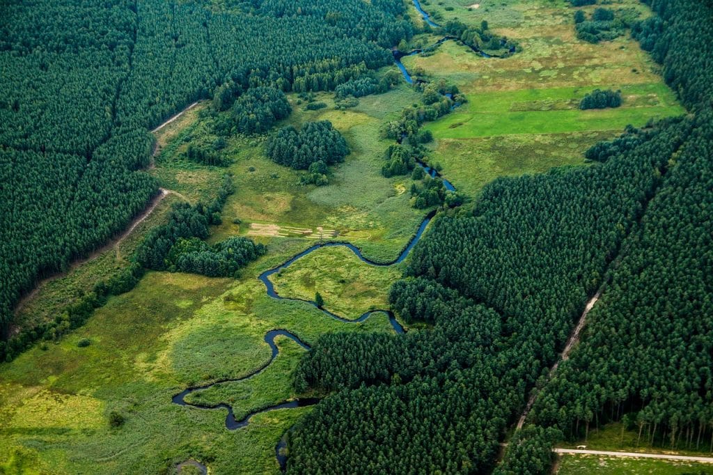 De Plattelandsbeweging Overijssel is een feit. Vier organisaties slaan de handen ineen om zich sterk te maken voor een gezond en vitaal platteland in Overijssel.