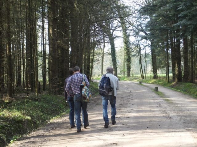 Word jij natuurvrijwilliger bij Wijkcentrum de Pol in Zwolle?