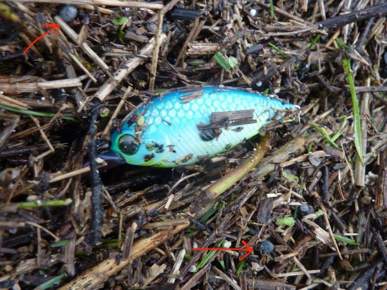 Leonieke Kruit: Hoe komen die miljoenen plastic korrels in de IJssel?