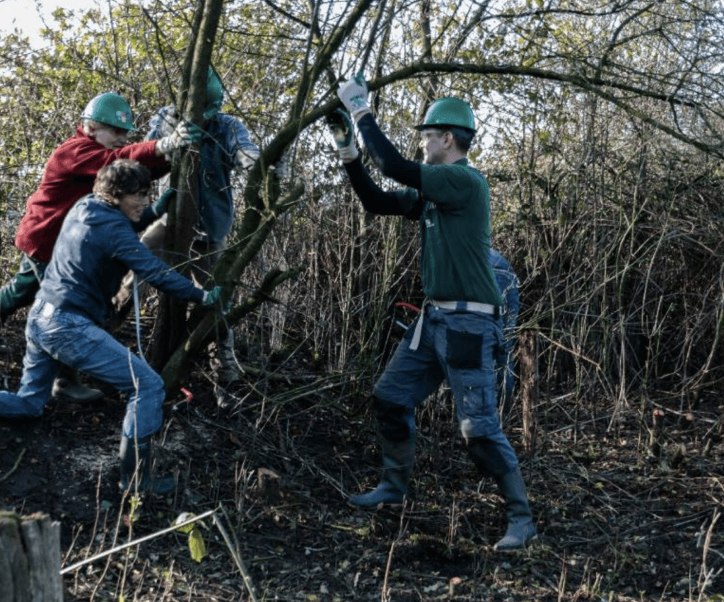 Werk een handje mee op de Natuurwerkdag