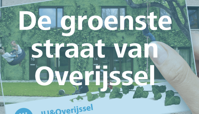 Prijsvraag voor inwoners: ontwerp Groenste straat van Overijssel