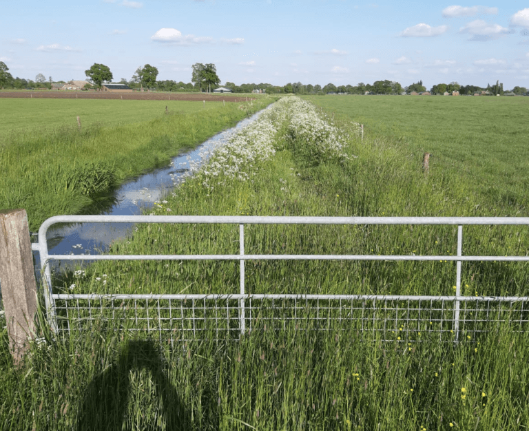 Ecologisch bermbeheer zorgt voor groene linten in het landschap
