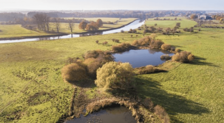 Hoog water rivieren een ramp of een zegen?