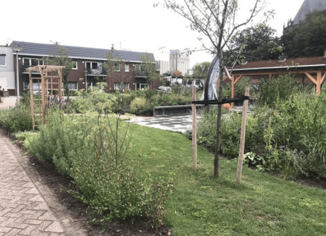 WUR: nieuwe Omgevingswet verplicht niet tot bindende rechtsregels en uitvoering