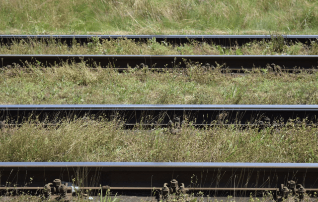 Dubbelspoor tussen Deventer en Zwolle goed voor de stoptrein