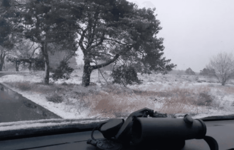 Dagklad: Sneeuweten