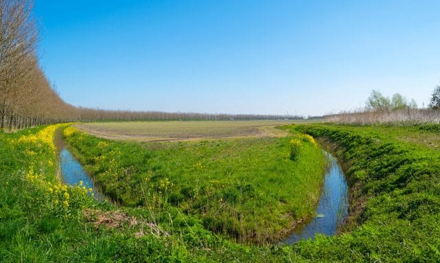De schimmige wereld van de agrarische bestrijdingsmiddelen