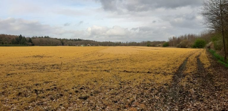 De huidige regering is een ramp voor het platteland boeren en bewoners, het milieu, bodem, biodiversiteit en grondwater