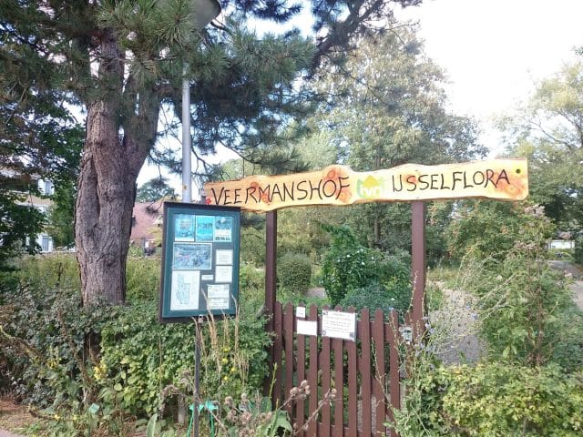 Rondleiding en proeverij Heemtuin “Veermans Hof IJsselflora” in Wijhe