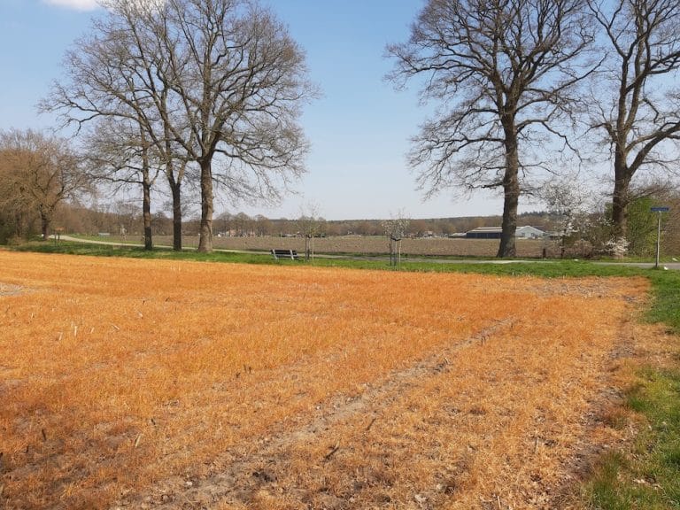 Leonieke Kruit: de One-Two-Step-methode