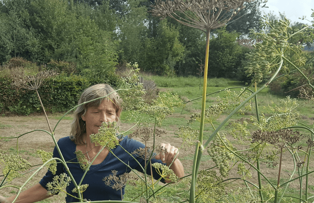 Tip van Energieloket Salland: Voor wie maak je de tuin winterklaar?