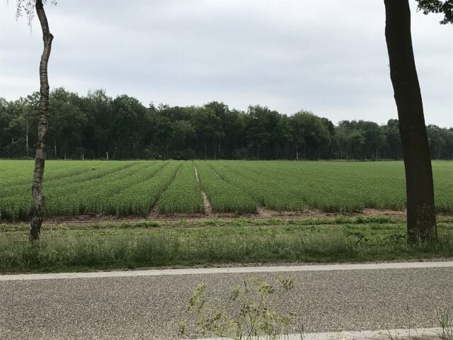 Eerste PAS-melder gelegaliseerd in de provincie Overijssel