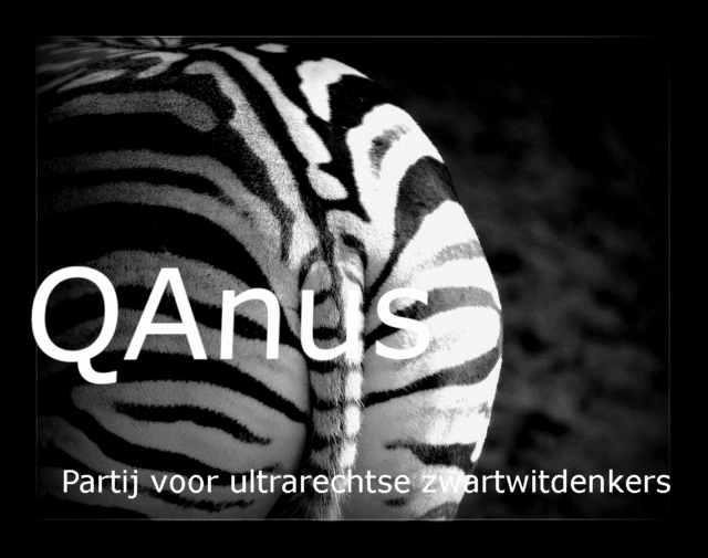 QAnus nieuwe partij bij gemeenteraadsverkiezingen in maart