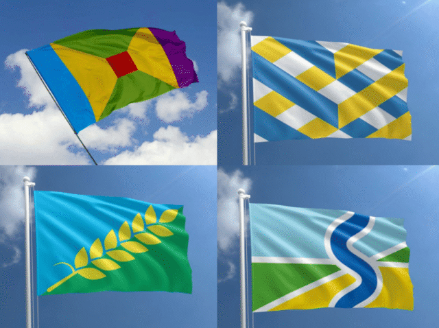 Lezersreactie: De maker van de Sallandse vlag doet het vooral goed op social media