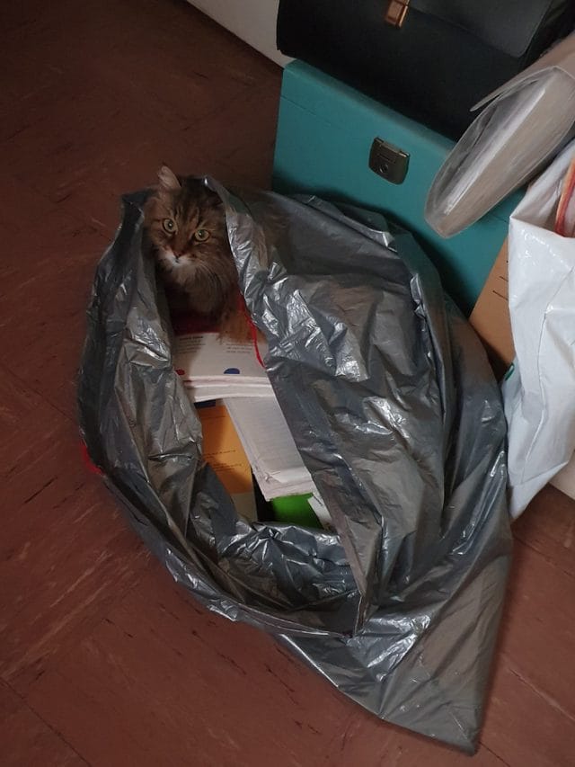 Hergebruik: De kringloop van spullen