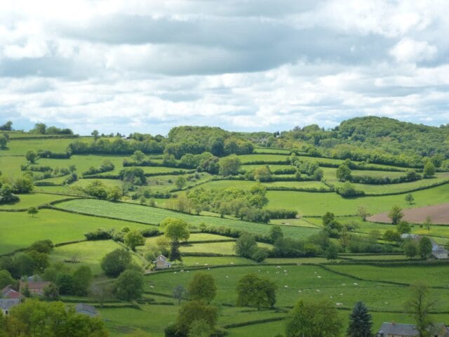 Akkerplanten terugbrengen in ons boerenland