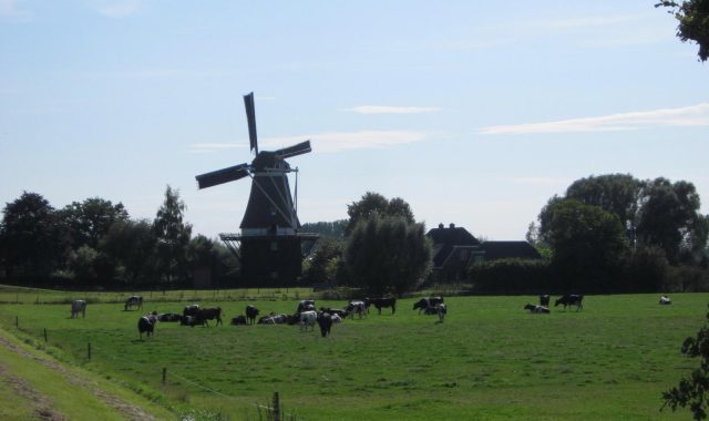 Molen De Vlijt in Marle weer tot in de puntjes gerestaureerd