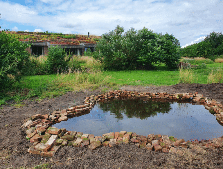 Merel: Water dat blijft, maakt een tuin die leeft