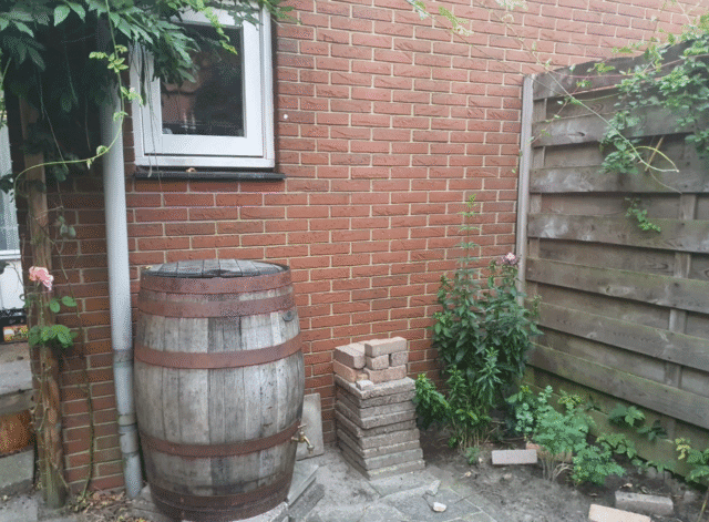 Gemeente Raalte stelt subsidie beschikbaar voor vergroening tuin en regenwateroplossingen