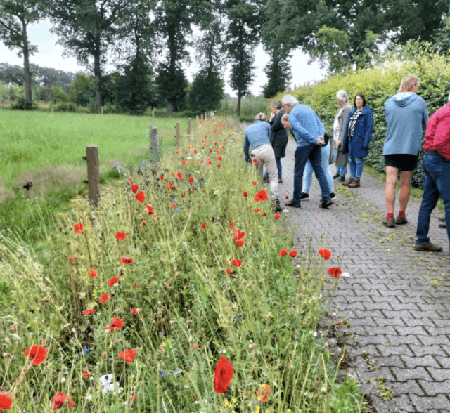 Stichting Salland Zoemt doet informateur Remkes voorstellen om boeren de overgang naar bio mogelijk te maken