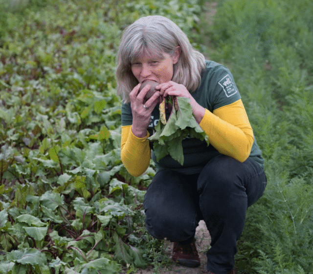 Vakantie voorbij… of heb je nog even?
