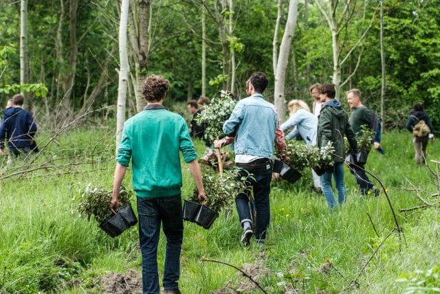 Natuur en Milieu Overijssel: Lokaal aan de slag: gemeenten cruciaal voor groene ambities