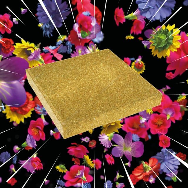 Sallanders houden kennelijk niet zo van wippen