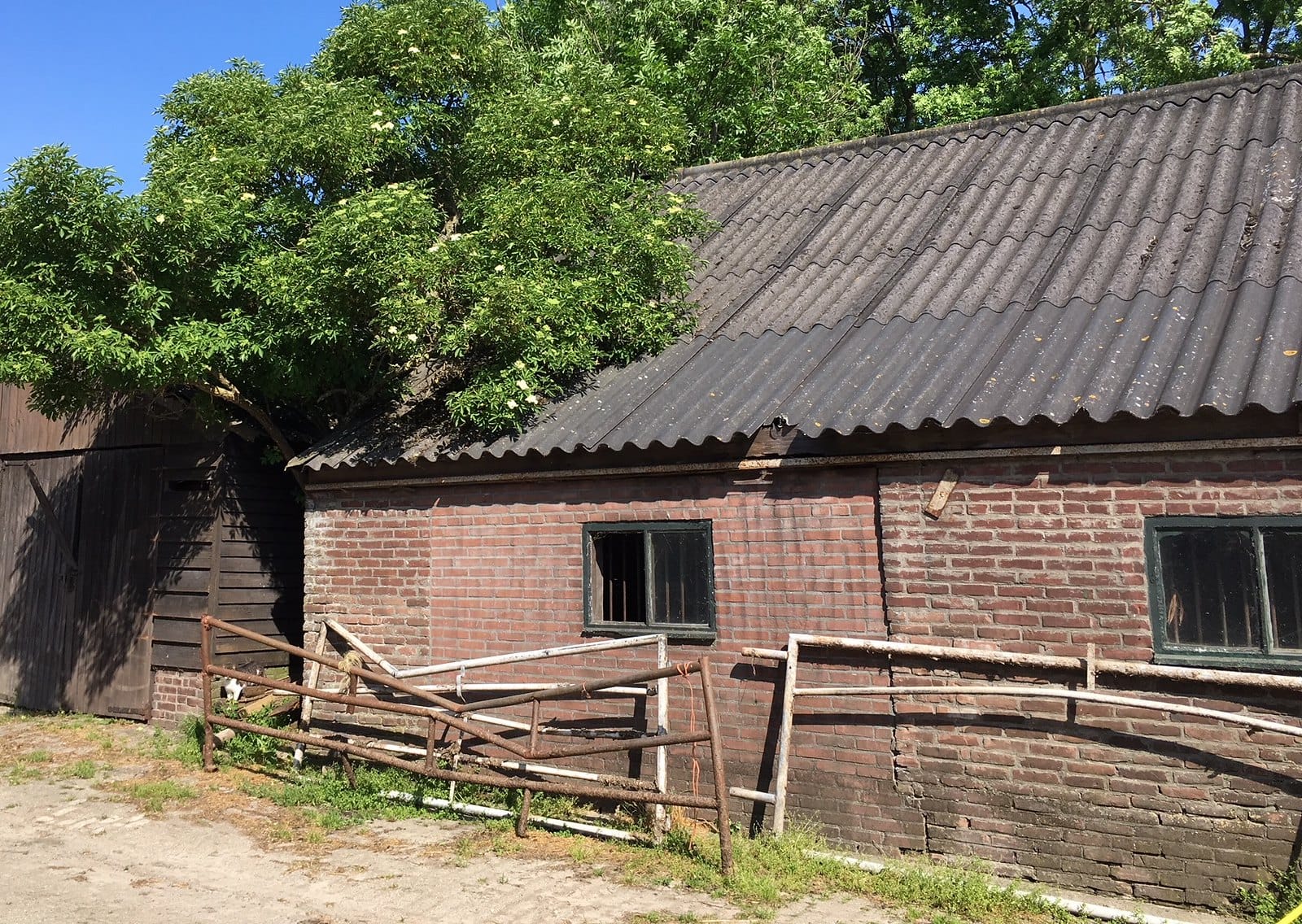 Verwijder een ongezond dak tijdens de ‘Week van de asbestvrije schuur’ in de gemeente Raalte