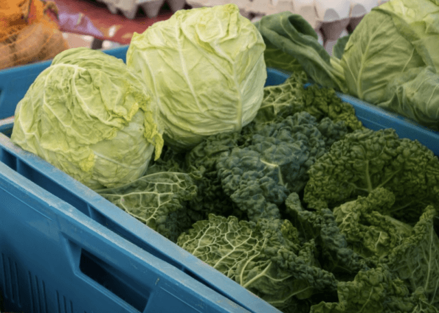 Voor Marie die Parkinson kreeg. Over de aardappelen en de kool