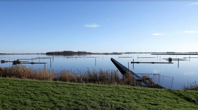 Water wordt schoner, maar er zijn nog grote uitdagingen