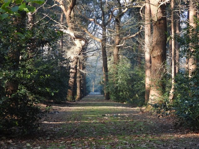 Gerard Verswijver wandelt Dwars door Salland langs de Benedenregge