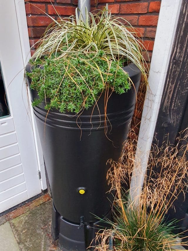 Mirjam Borger: Respect voor regen