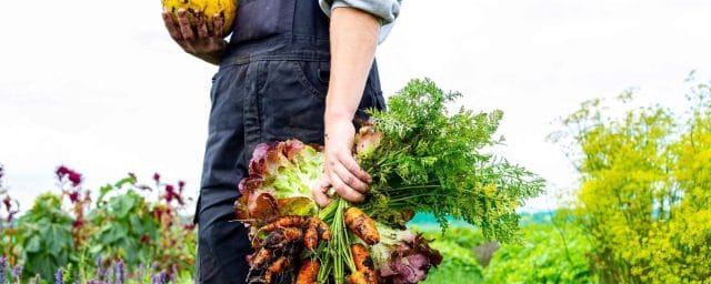 Biologische voeding: beter voor mens, bodem en klimaat