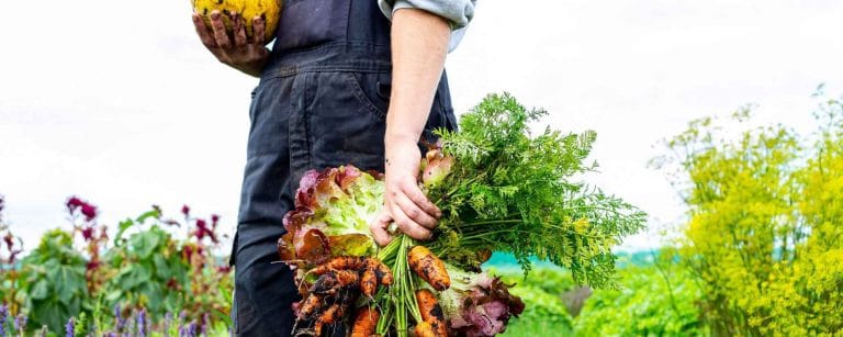 Biologische voeding: beter voor mens, bodem en klimaat