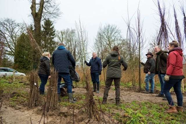 Natuur Overijssel is 21.000 bomen rijker
