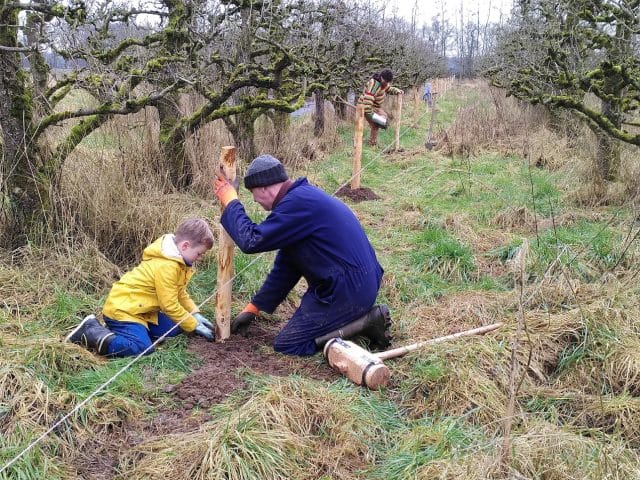 Stichting Eetbaar Olst-Wijhe: Kom zaterdag klussen