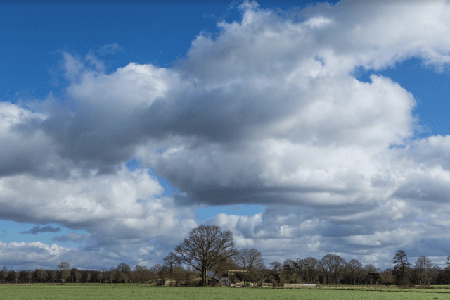 SOS – Nederlandse organisaties willen een ambitieuzere Pesticiden-Reductie Regulering