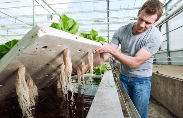 Maan Group: Wat doen jullie duurzaam?: Een relevante bijdrage leveren aan duurzaamheidstransitie