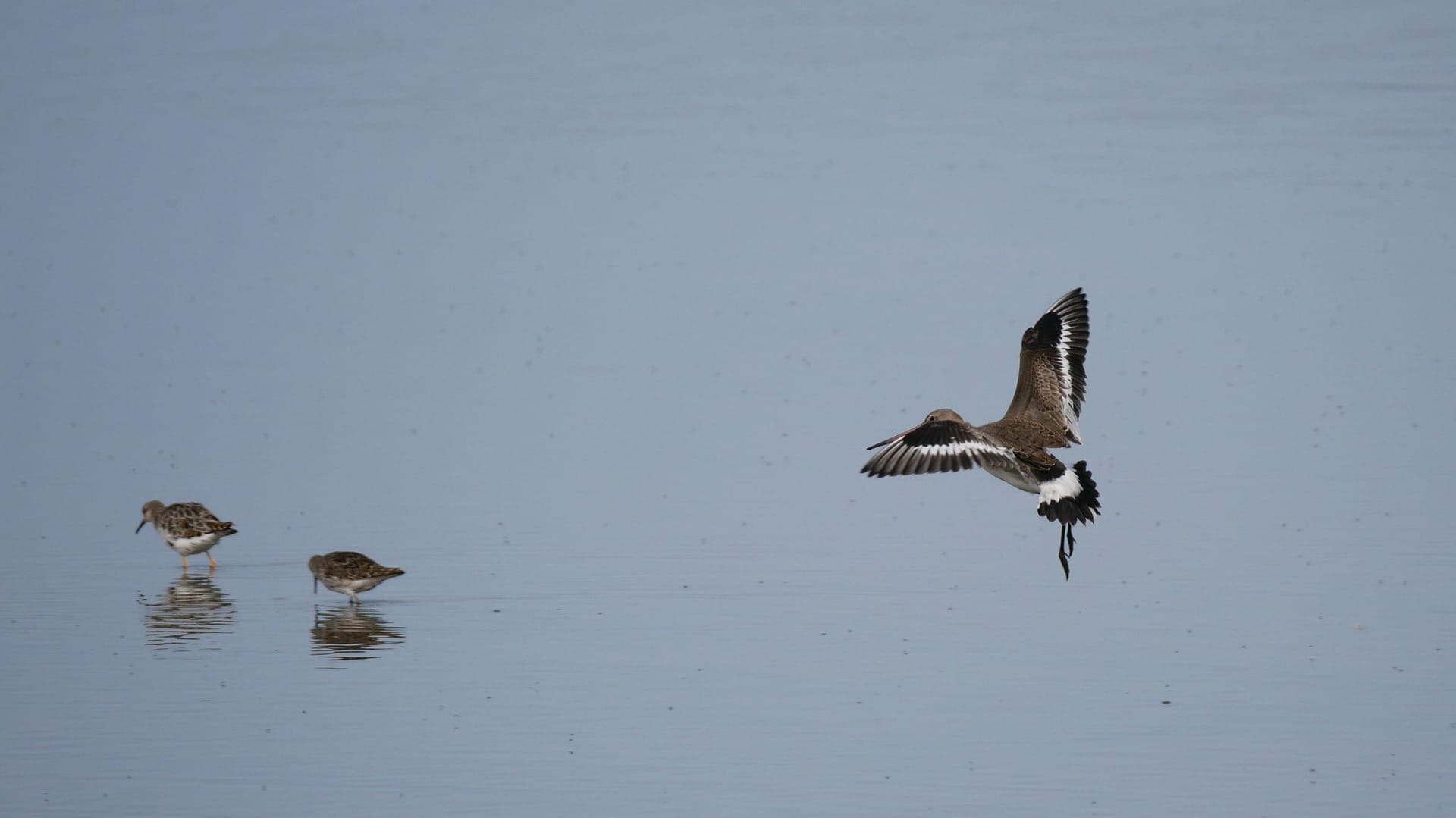 Column: Een vitaal platteland begint van bovenaf