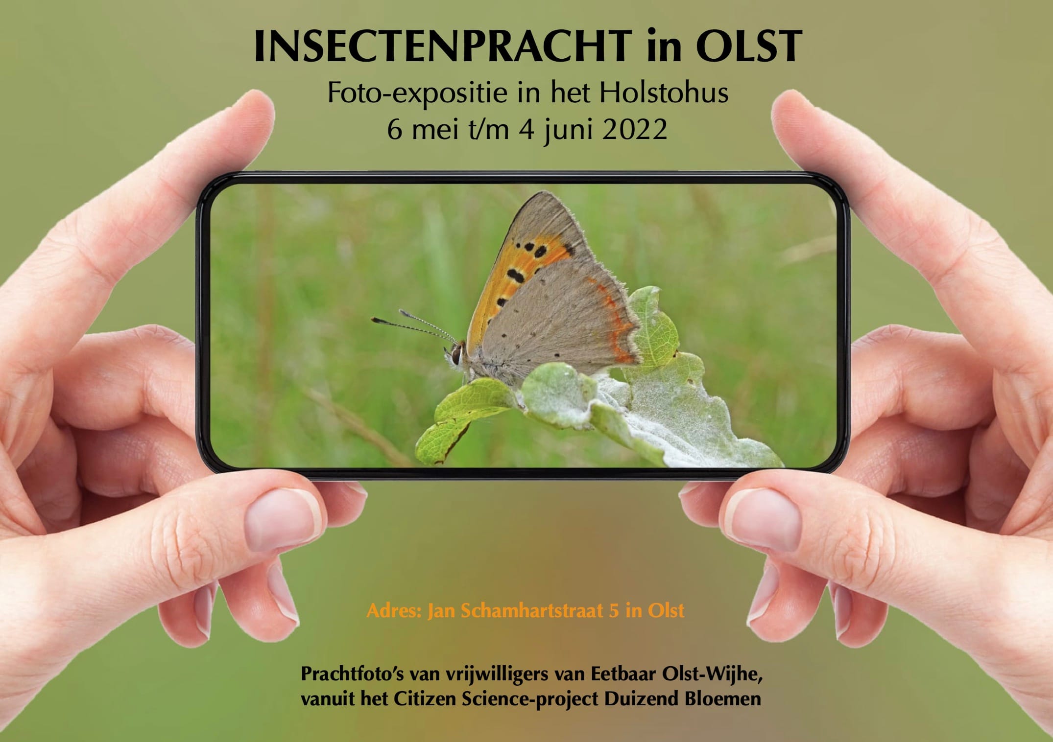 Foto-expositie INSECTENPRACHT in Holstohus Olst