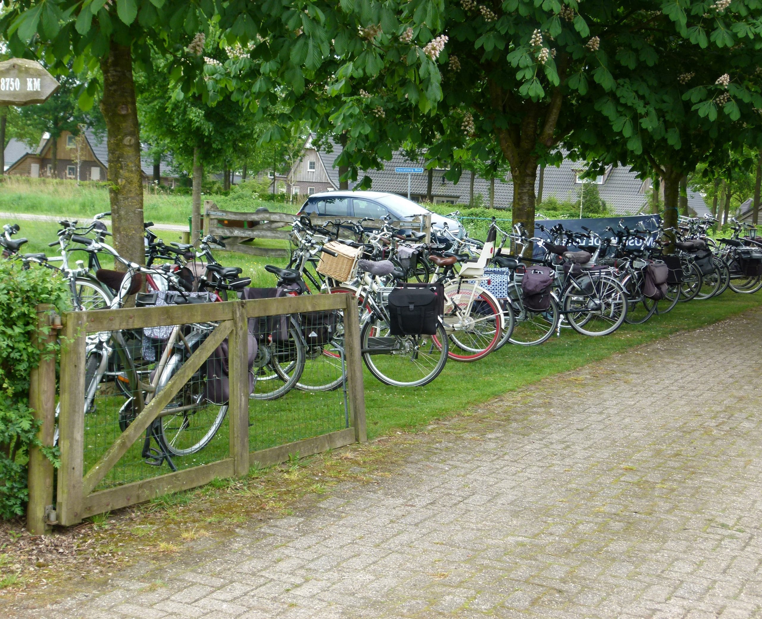 Dauwtrap fietstocht De Laarman Luttenberg