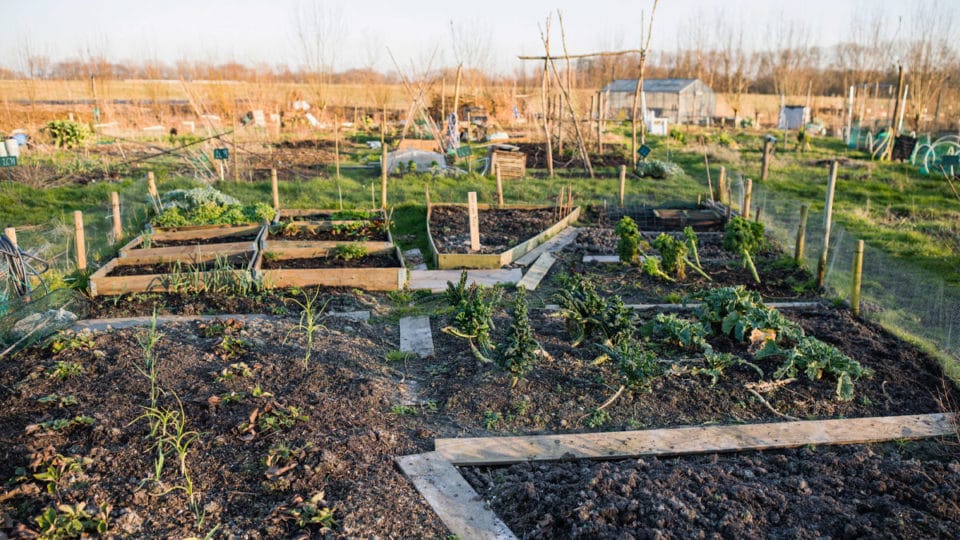 Wat als… onze landbouw regeneratief zou zijn?