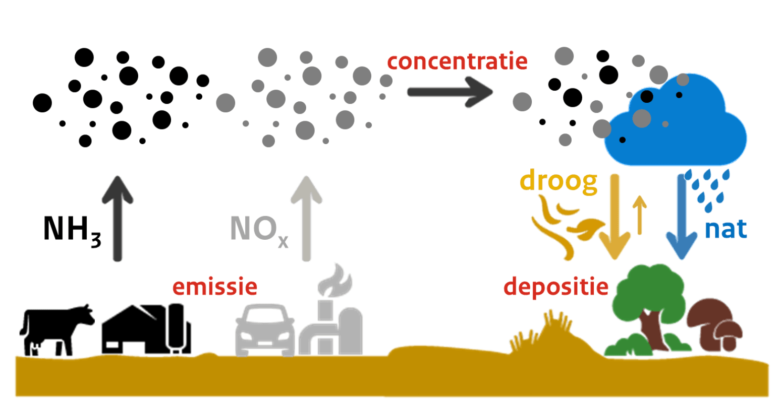 In Olst-Wijhe en grote delen van Raalte moet stikstof met 50% omlaag